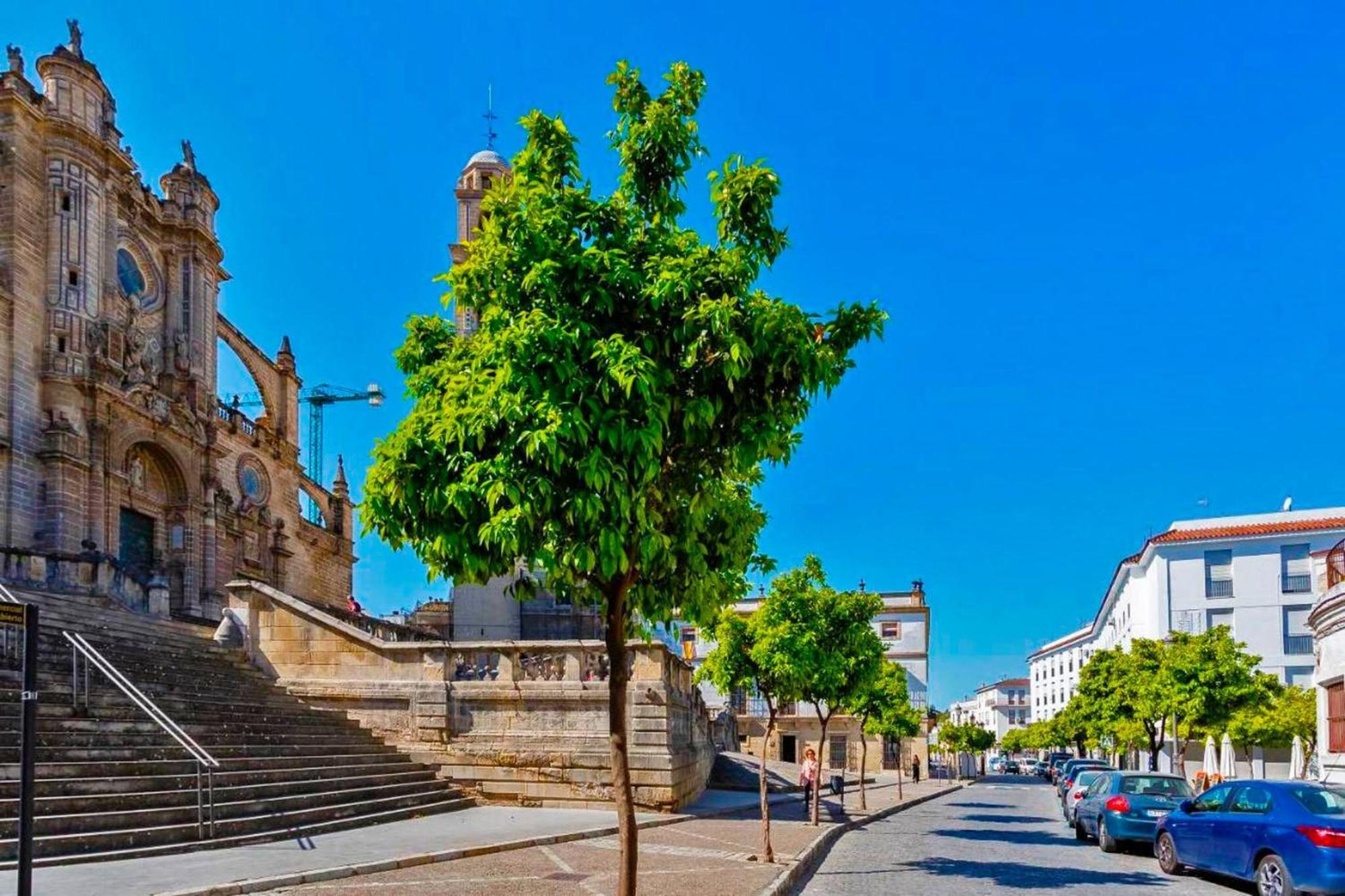 Апартаменты La Torre De La Catedral - Ole Solutions Херес-де-ла-Фронтера Экстерьер фото